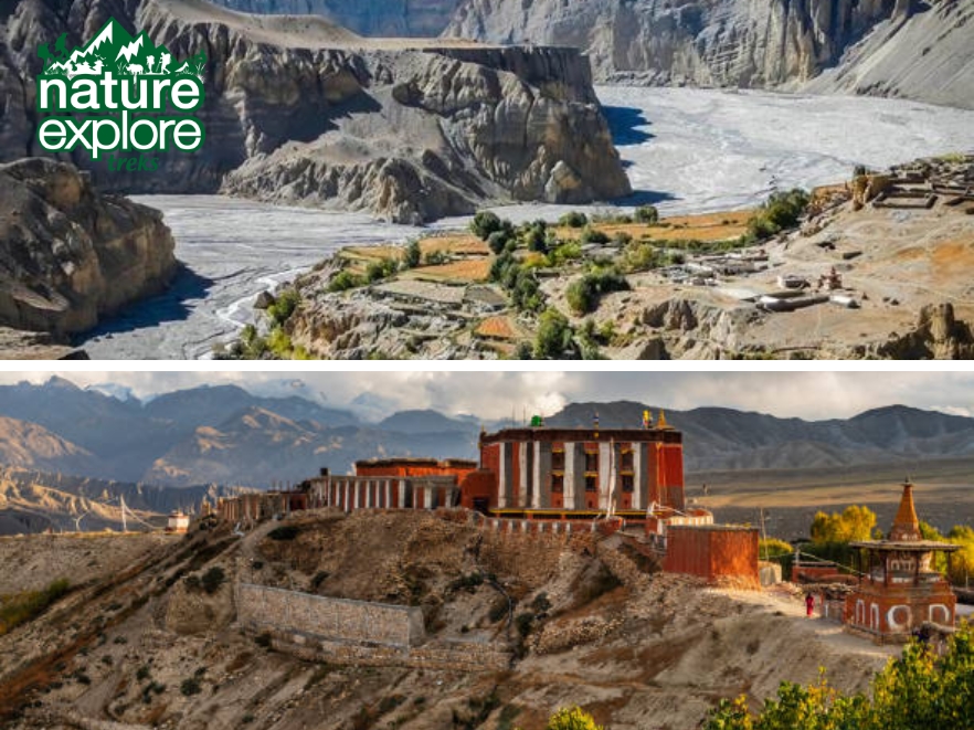 image showing overview of upper mustang